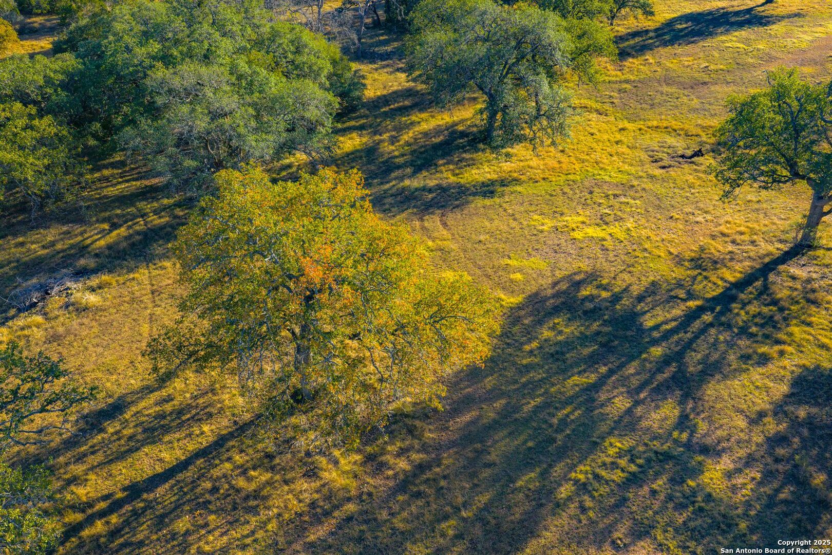 740 Optimist Way Bandera, TX 78003 - Photo 17 of 40