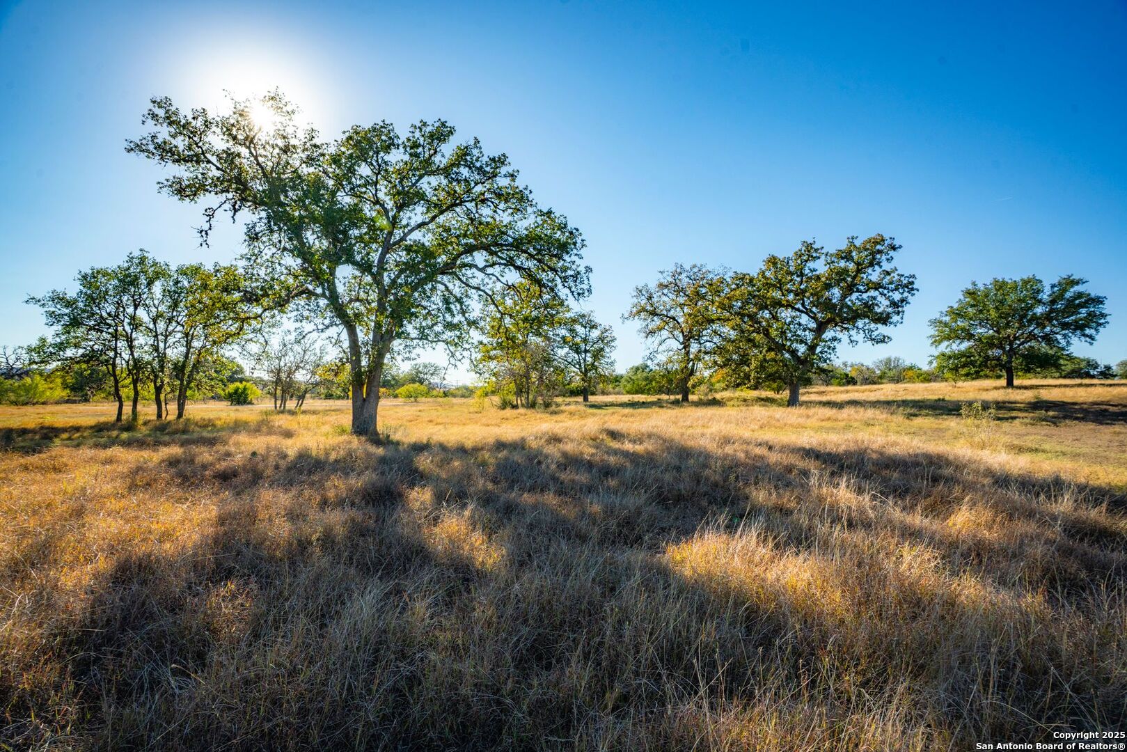 740 Optimist Way Bandera, TX 78003 - Photo 24 of 40 a view of yard with green space
