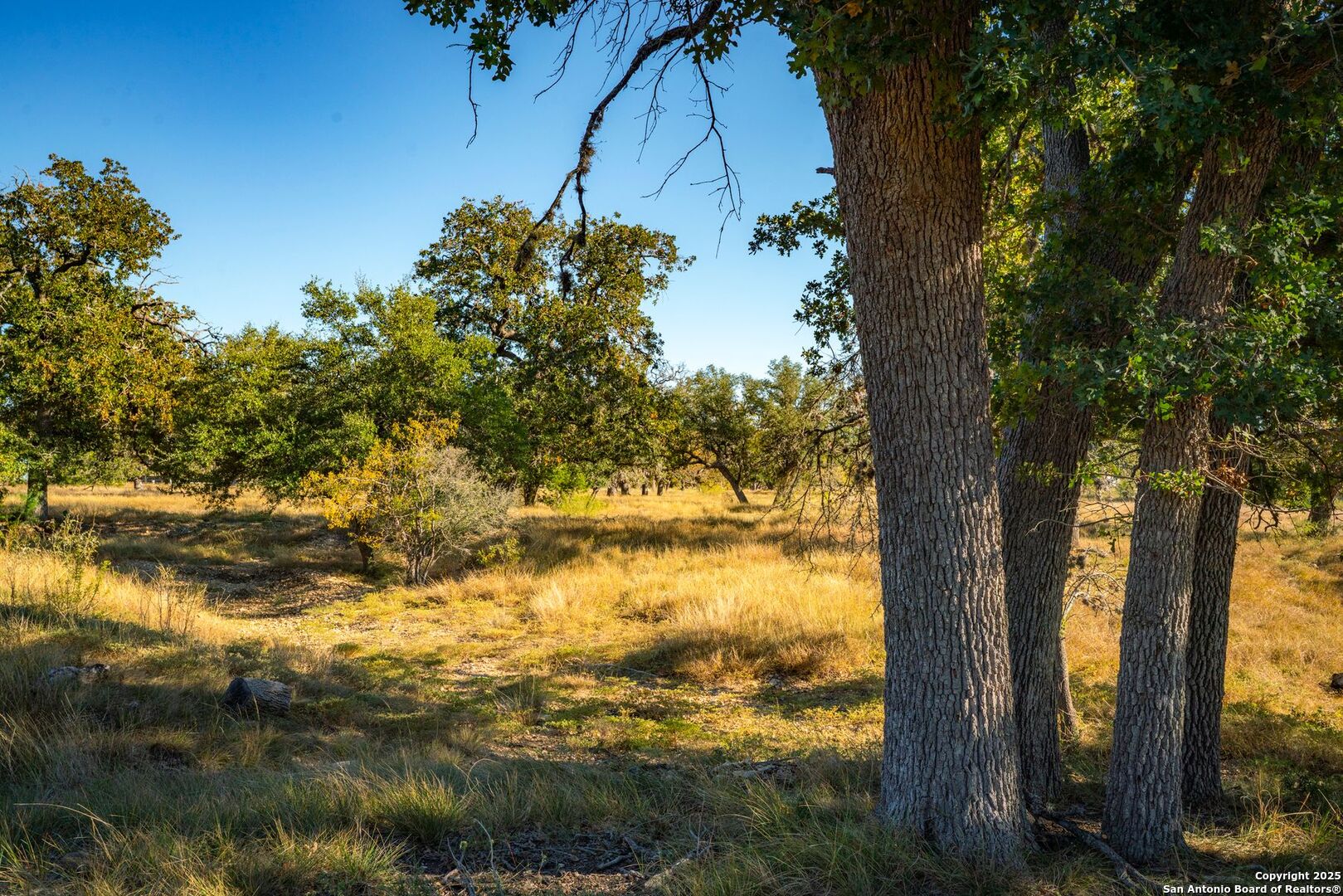 740 Optimist Way Bandera, TX 78003 - Photo 25 of 40 a view of lake view and tree