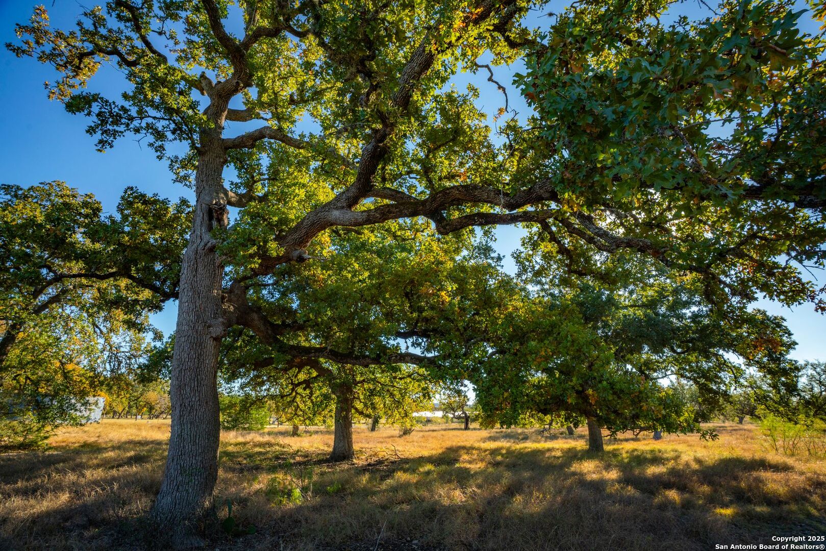 740 Optimist Way Bandera, TX 78003 - Photo 26 of 40 a view of outdoor space with trees