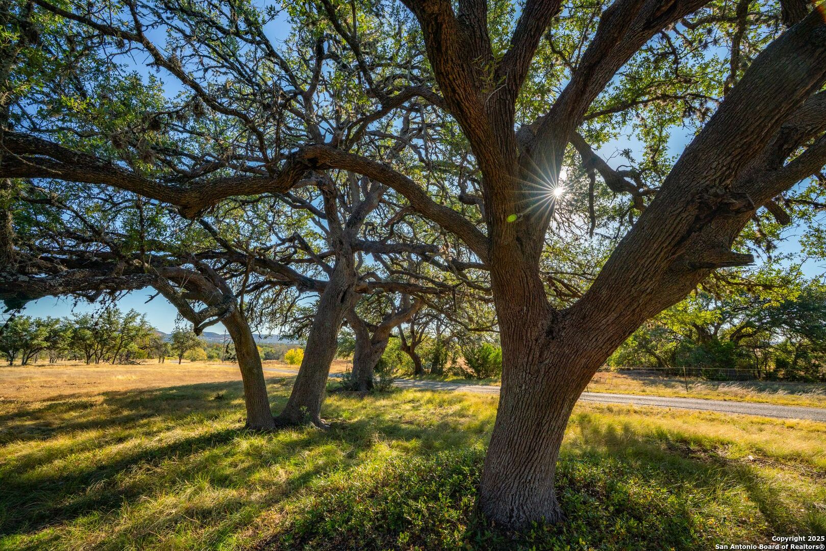 740 Optimist Way Bandera, TX 78003 - Photo 30 of 40 a view of a trees in a yard
