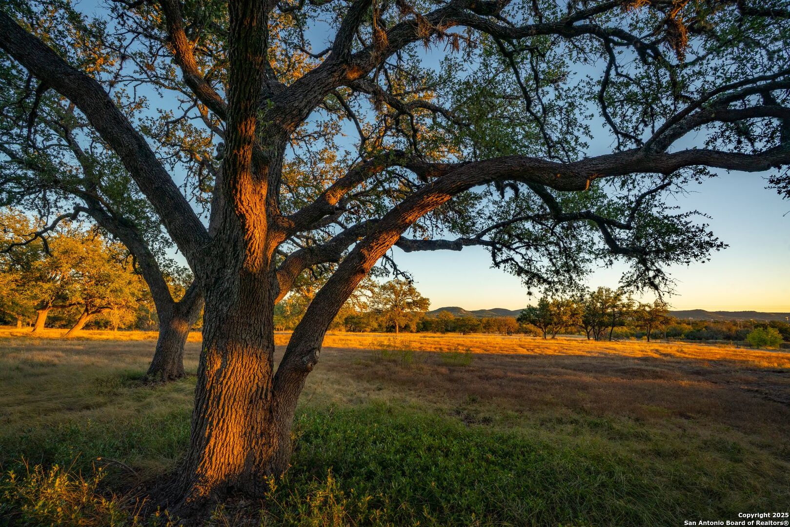 740 Optimist Way Bandera, TX 78003 - Photo 3 of 40 a view of mountain view with large trees