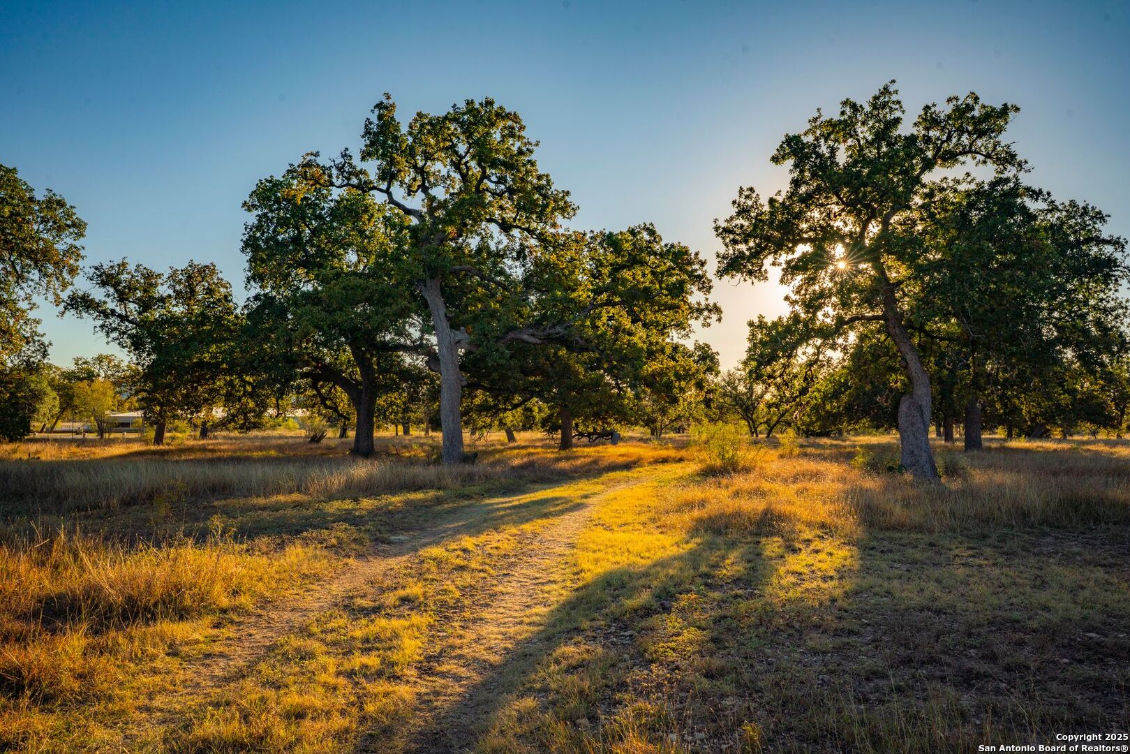 740 Optimist Way Bandera, TX 78003 - Photo 34 of 40 a view of a yard with a tree
