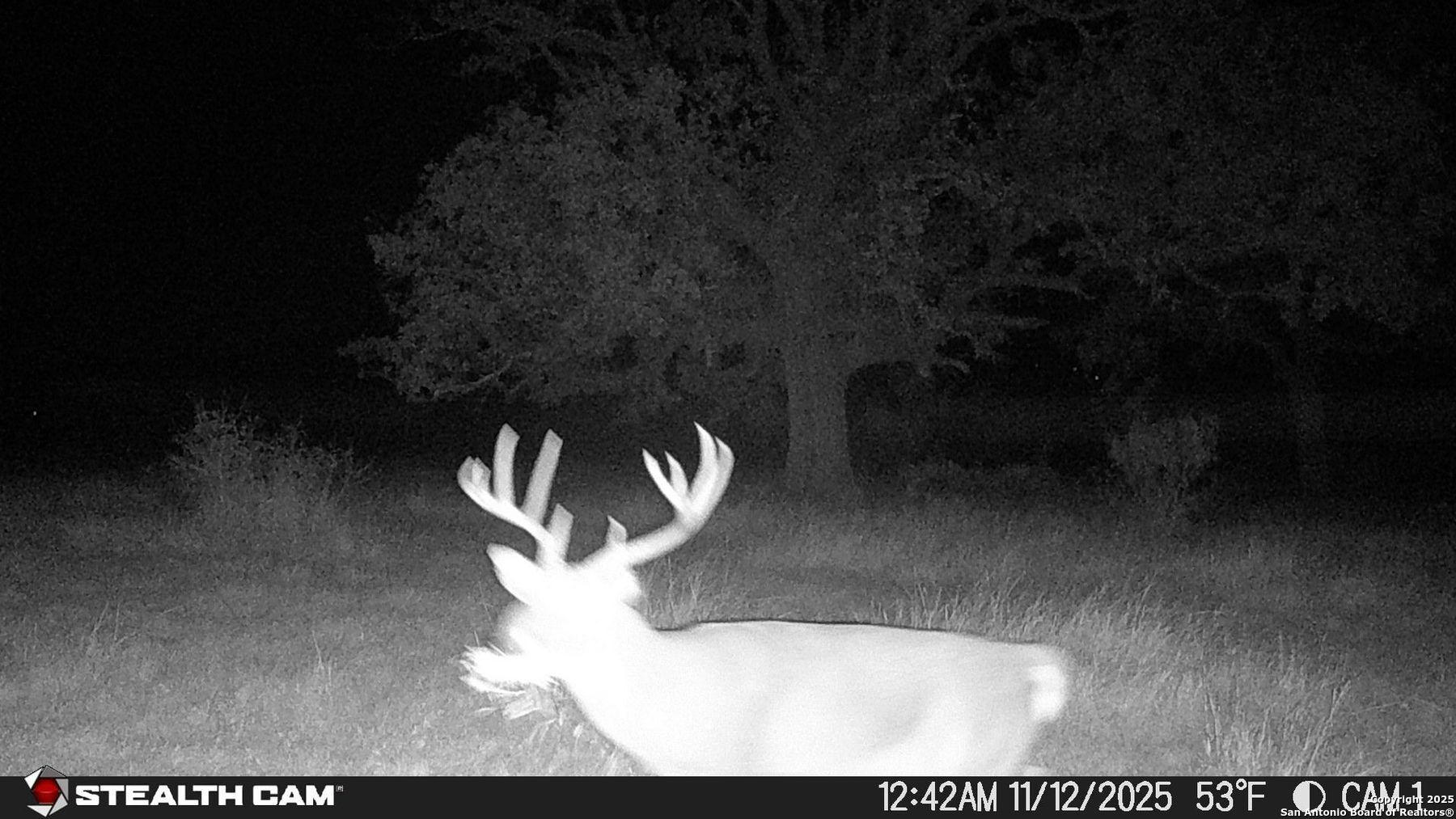 740 Optimist Way Bandera, TX 78003 - Photo 35 of 40 a picture of floor plan