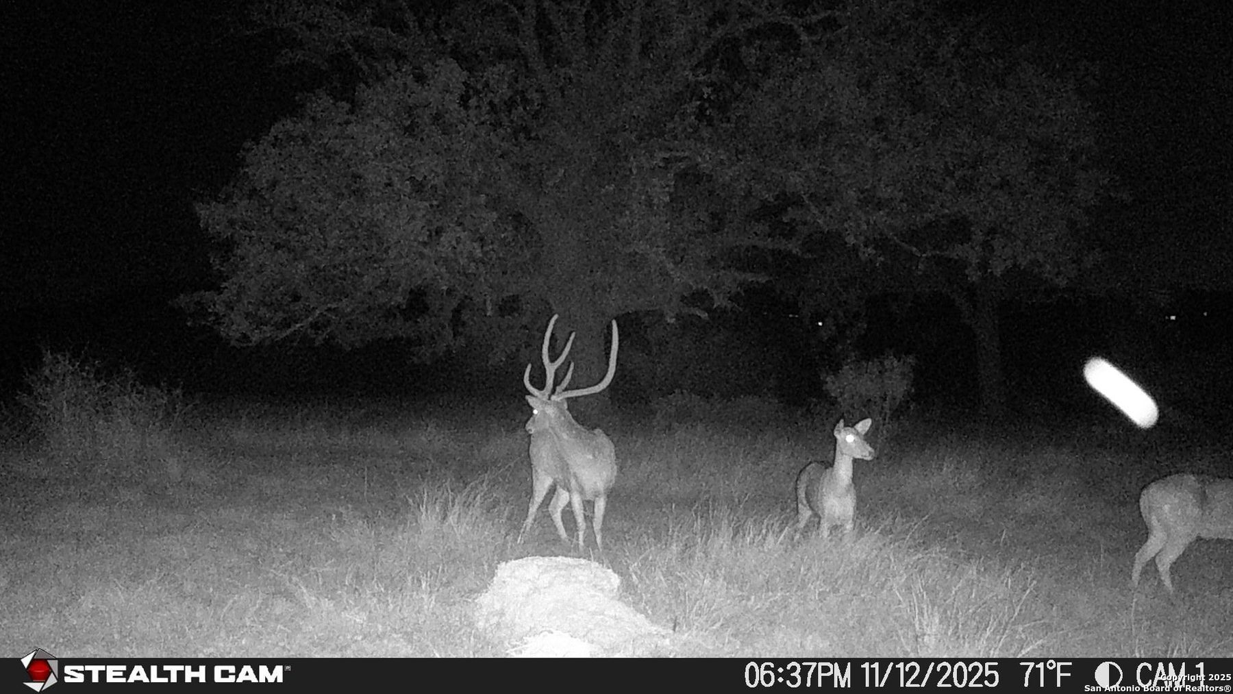 740 Optimist Way Bandera, TX 78003 - Photo 36 of 40