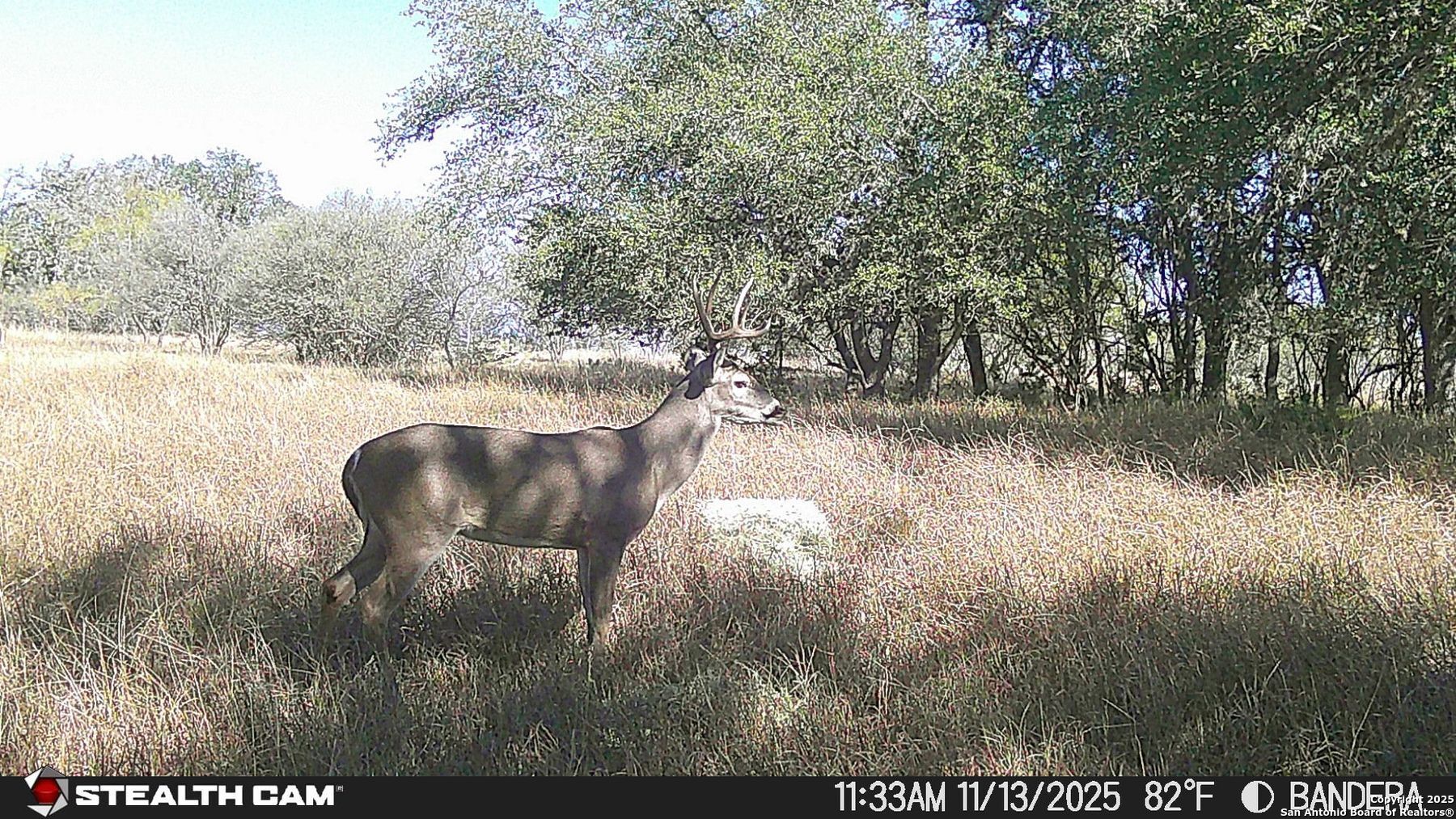 740 Optimist Way Bandera, TX 78003 - Photo 38 of 40 a view of outdoor space and yard