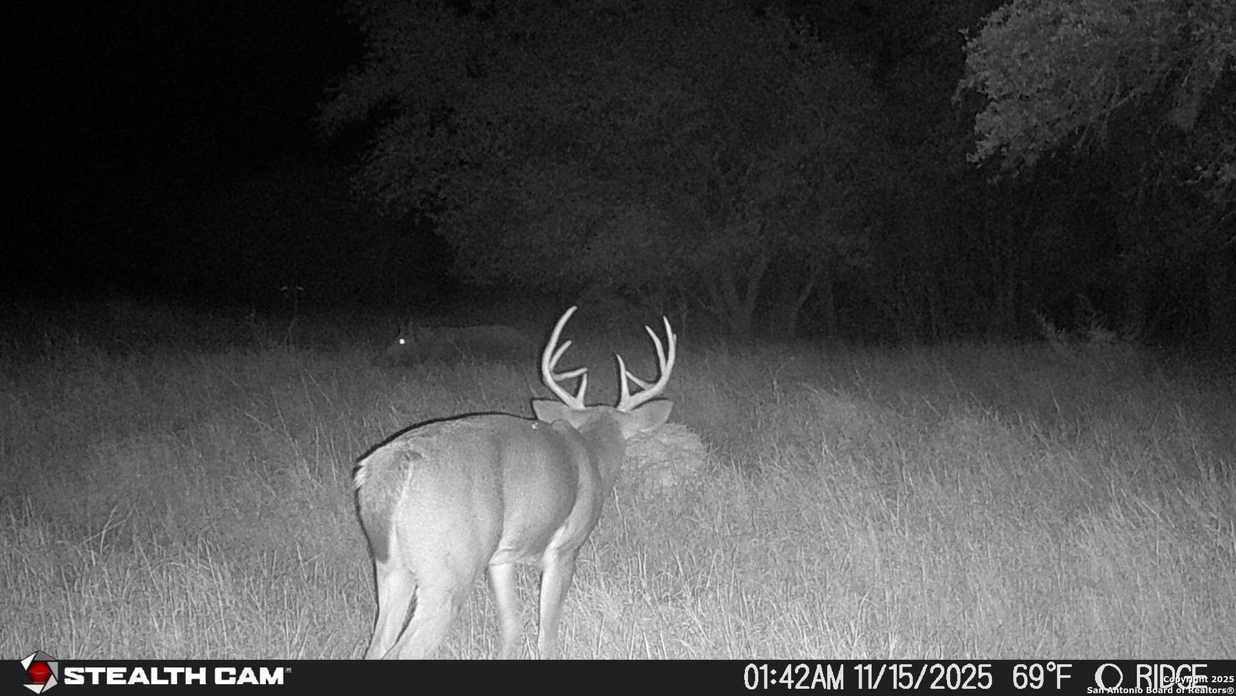 740 Optimist Way Bandera, TX 78003 - Photo 39 of 40 a view of wooden floor in a room