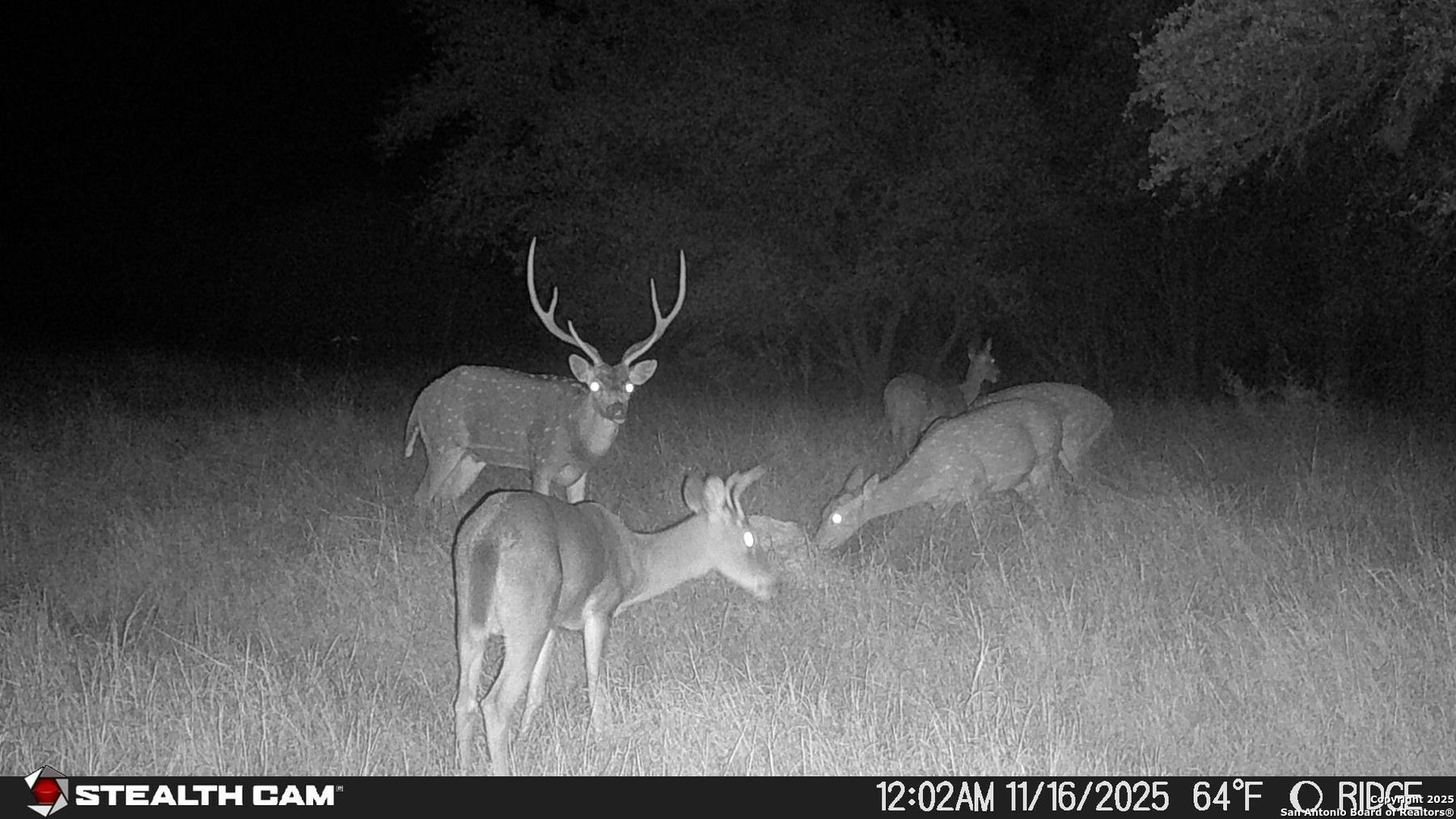 740 Optimist Way Bandera, TX 78003 - Photo 40 of 40 a picture of a room with a fan
