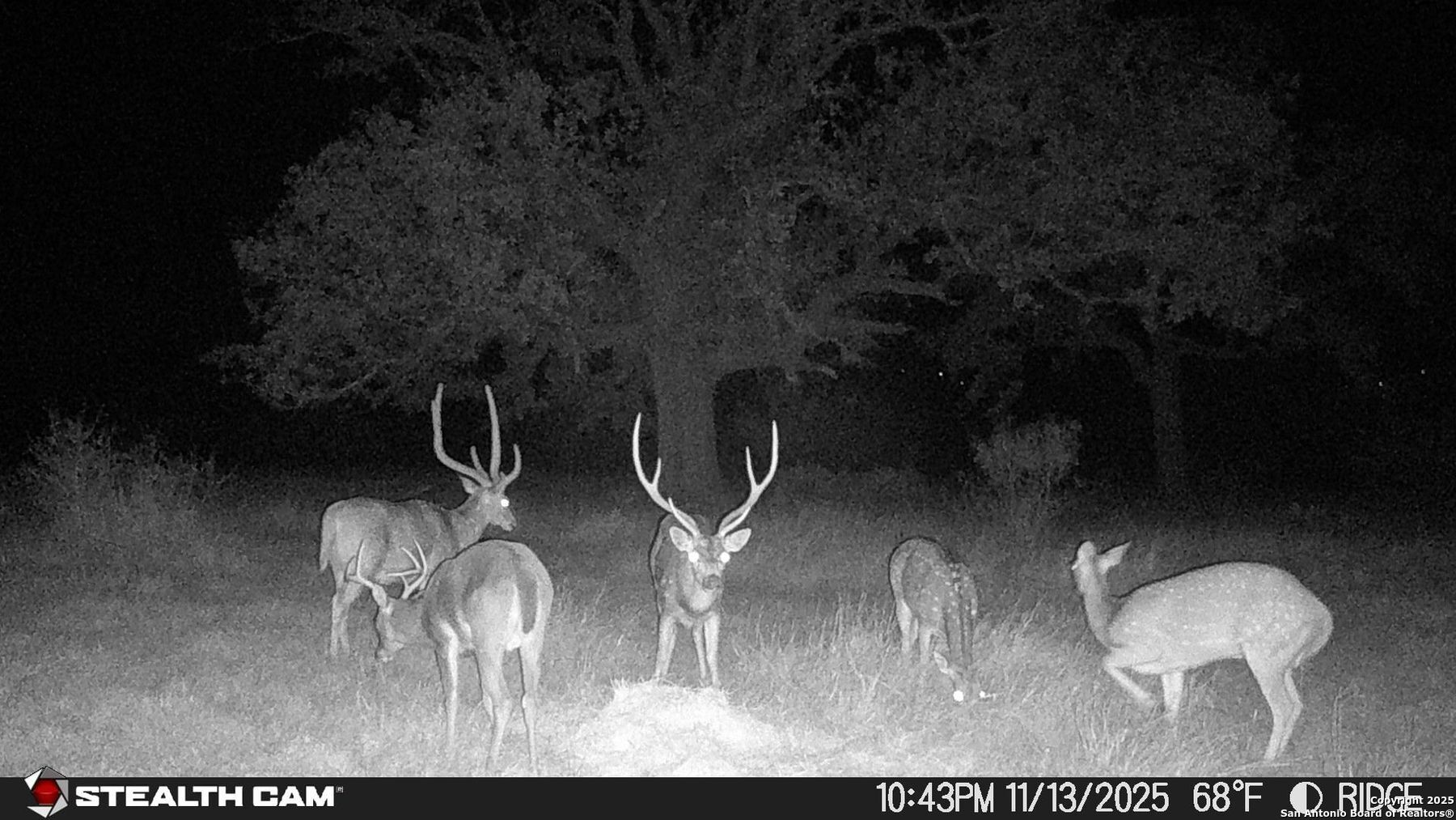 740 Optimist Way Bandera, TX 78003 - Photo 4 of 40 a picture of outdoor space