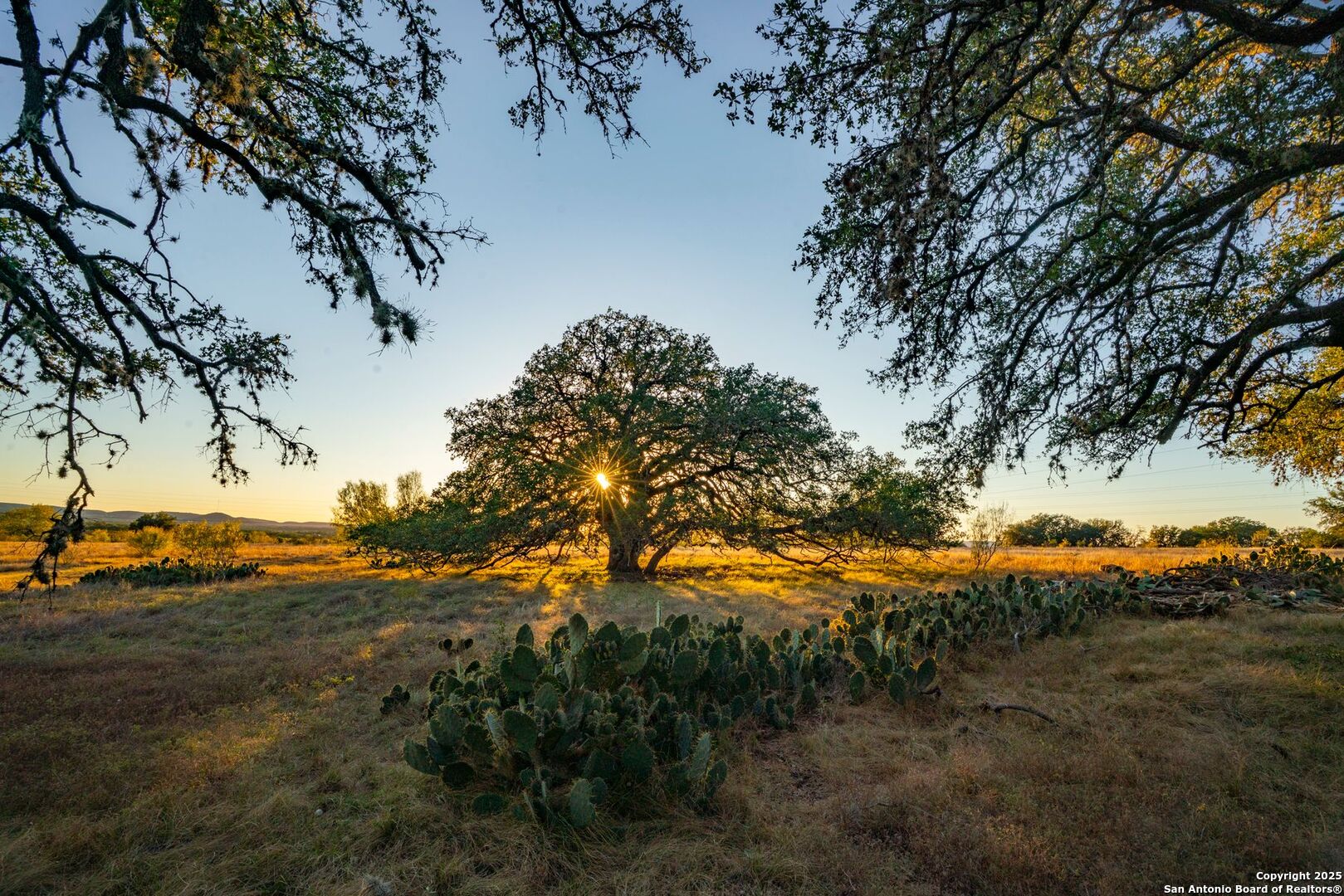 740 Optimist Way Bandera, TX 78003 - Photo 5 of 40