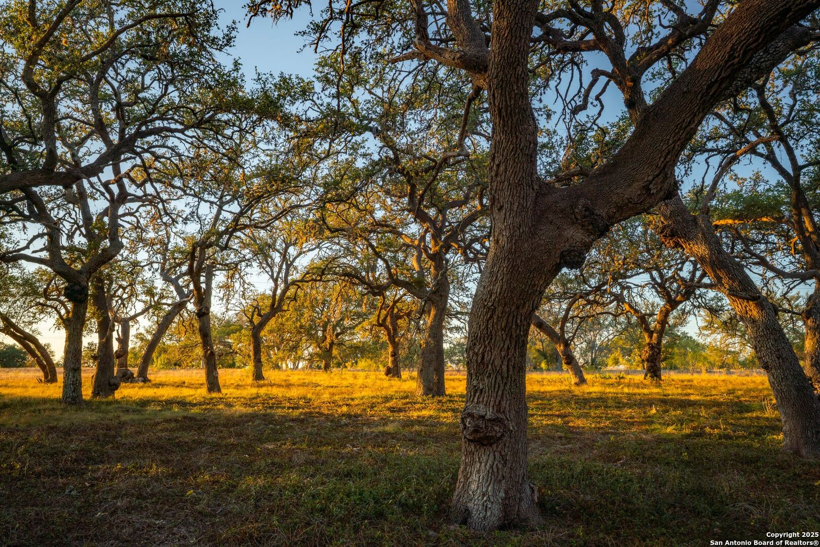 740 Optimist Way Bandera, TX 78003 - Photo 6 of 40 a view of outdoor space with trees