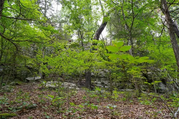 $388,220 | 100 Hermann Mo 65041, Hermann, MO 65041