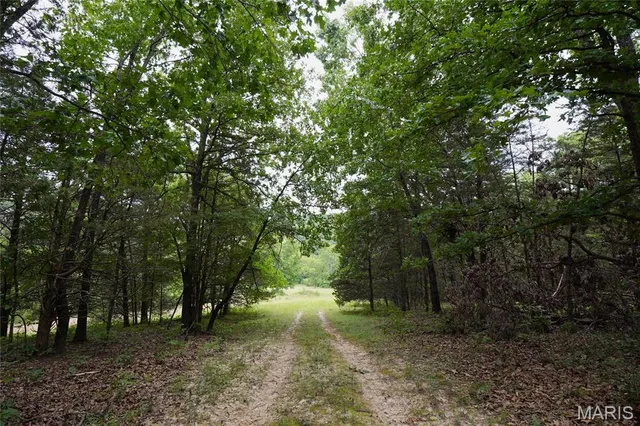 $388,220 | 100 Hermann Mo 65041, Hermann, MO 65041