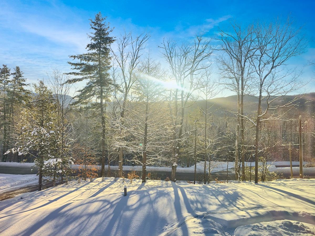 253 Upper Mad River Road Thornton, NH 03285 - Photo 54 of 55