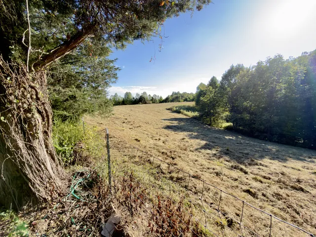 a view of a wooden house with a yard