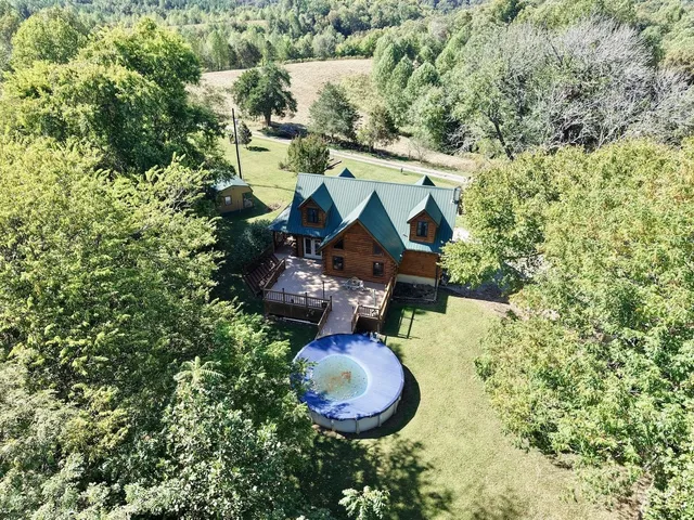 an aerial view of mountain with trees all around