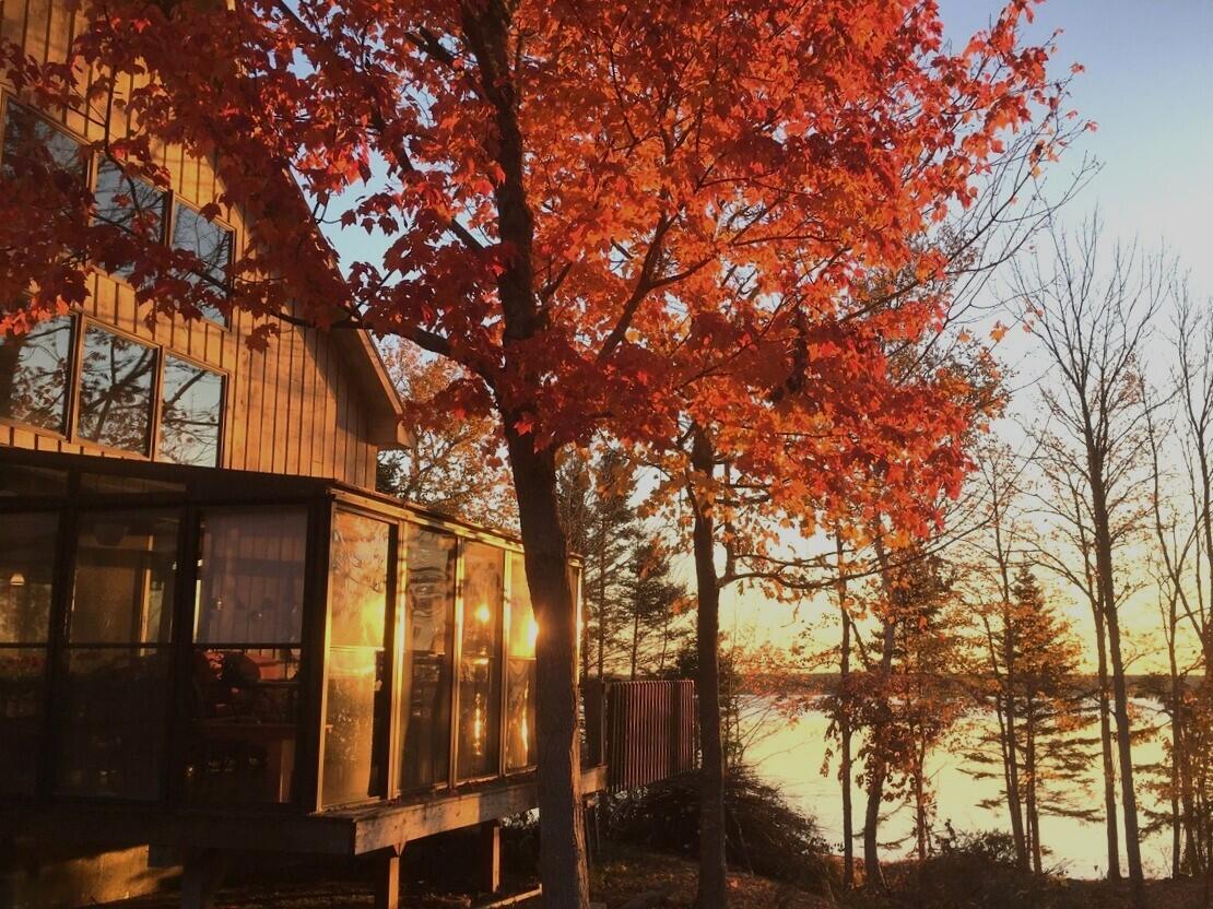 515 Paul Bunyan Road Corea, ME 04624 - Photo 52 of 52