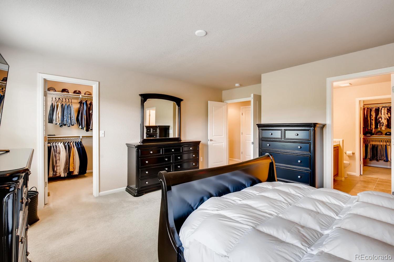 10220 RidgeGate Circle Lone Tree, CO 80124 - Photo 15 of 27 Gallery Image 15