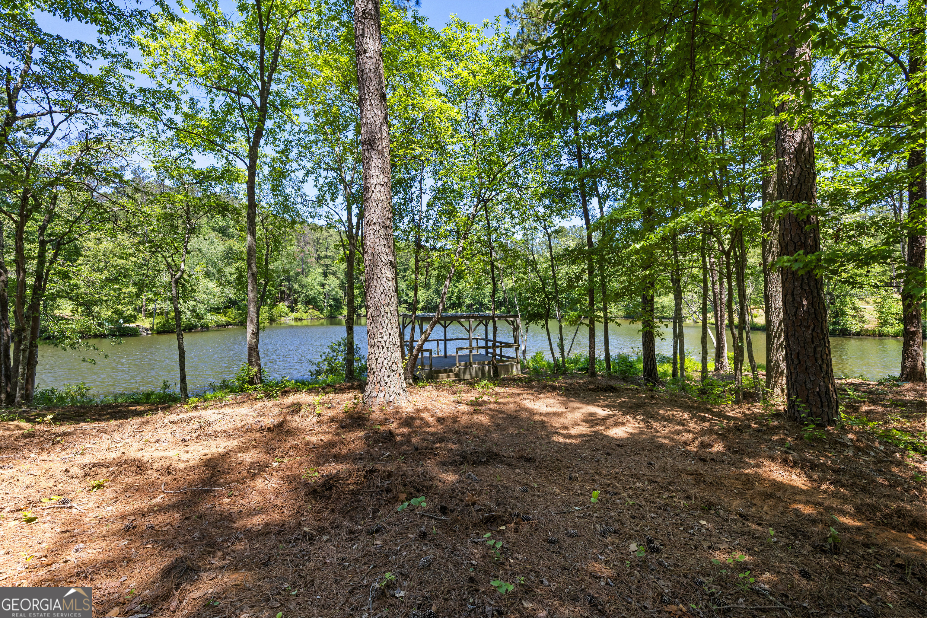 354 Turner Road Newnan, GA 30263 - Photo 65 of 79 a backyard of a house with lots of green space