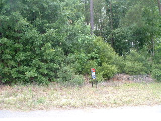 0 South Brewington Road Manning, SC 29102 - Photo 1 of 1 Gallery Image 1