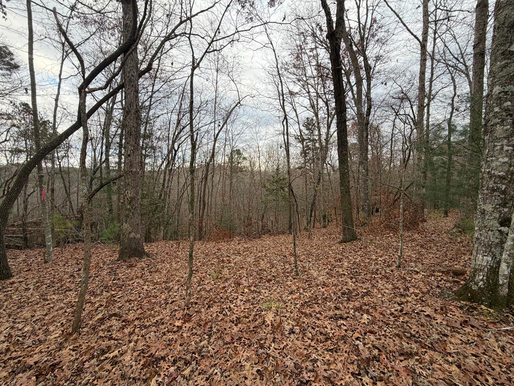 454 R Joliet Ellijay, GA 30540 - Photo 1 of 12 Main View
