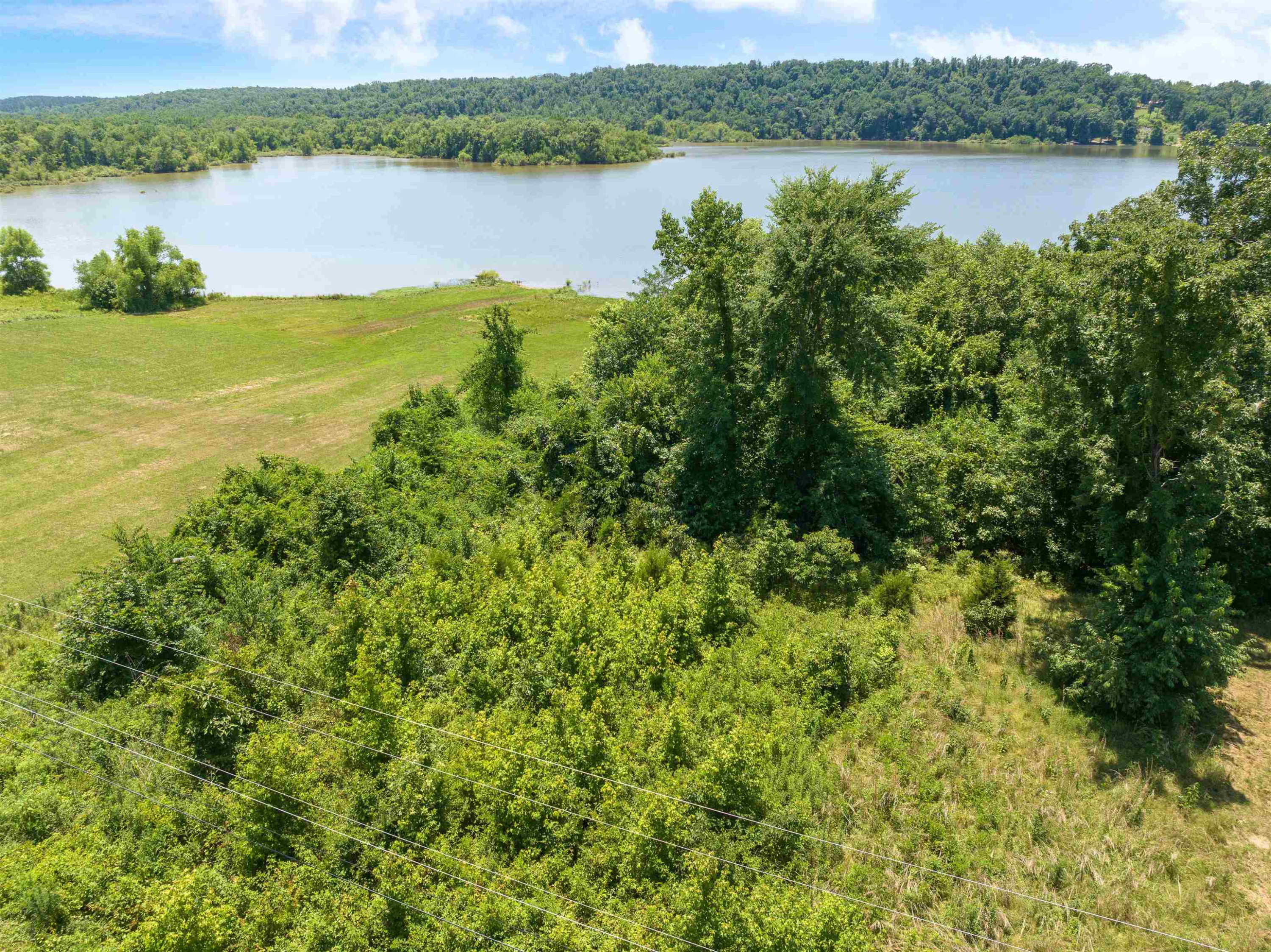 0 Toms Creek Road Linden, TN 37096 - Photo 8 of 8 Photo 8