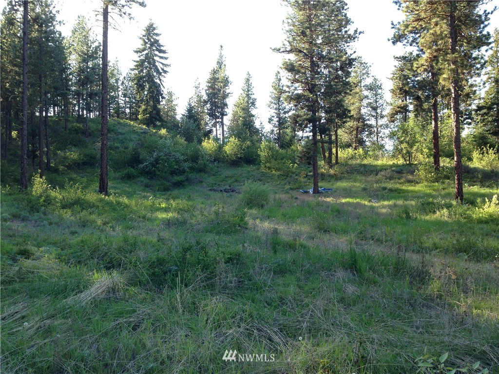 7 Ranch Road Cle Elum, WA 98922 - Photo 1 of 6 Gallery Image 1