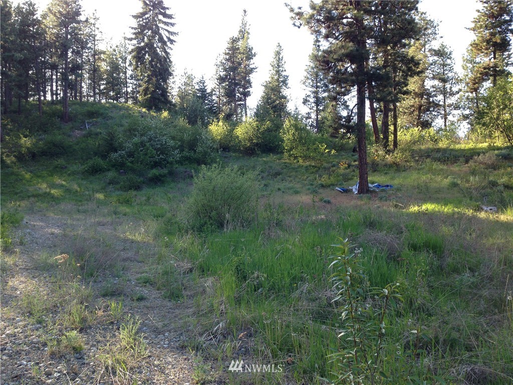 7 Ranch Road Cle Elum, WA 98922 - Photo 2 of 6 Gallery Image 2