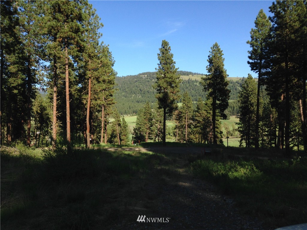 7 Ranch Road Cle Elum, WA 98922 - Photo 4 of 6 Gallery Image 4