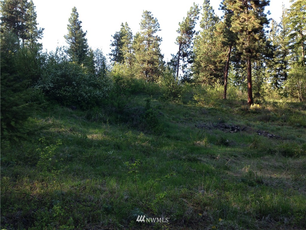 7 Ranch Road Cle Elum, WA 98922 - Photo 6 of 6 Gallery Image 6