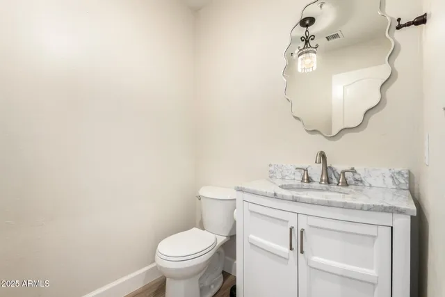 a bathroom with a sink vanity and a toilet