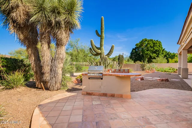 a view of a backyard