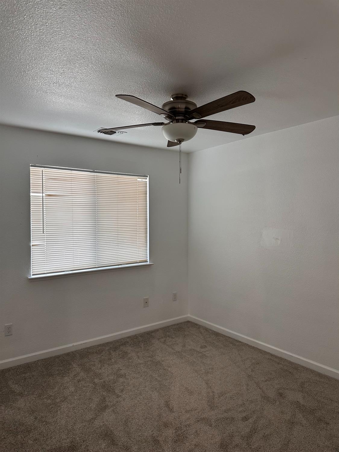 911 Toro Lane Lathrop, CA 95330 - Photo 22 of 36 Neutral-toned wall-to-wall carpeting and ceiling fan