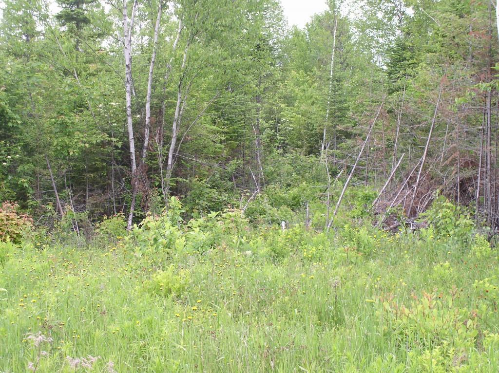 1 Upper Shirley Corner Road Shirley, ME 04485 - Photo 3 of 5 Photo