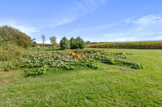 $549,900 | 19624 Brook Park Road, Pine City, MN 55063