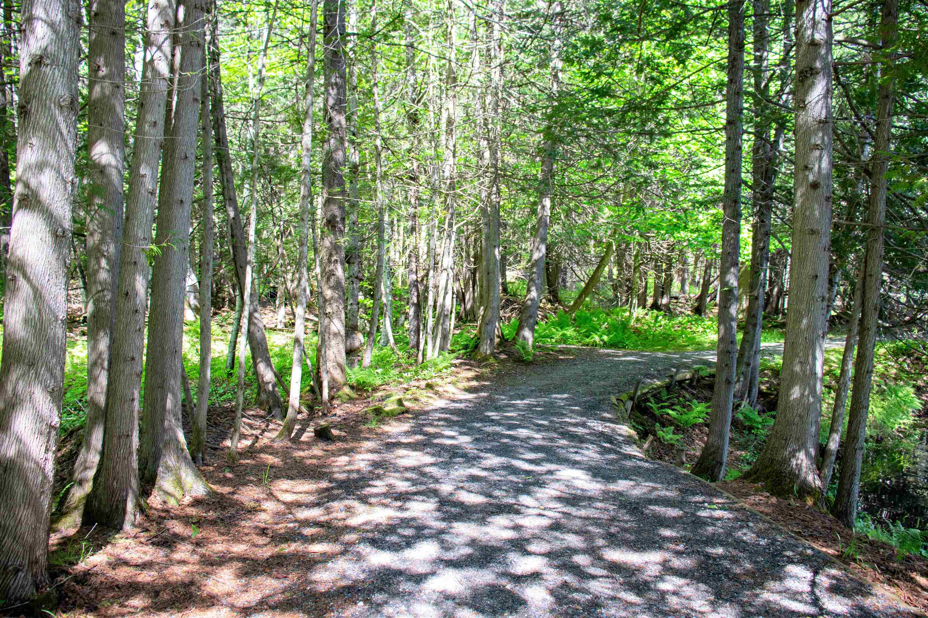 3911 Thaddeus Stevens Road Danville, VT 05828 - Photo 53 of 59