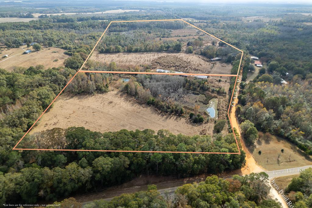 311 O Ashley Road Samson, AL 36477 - Photo 1 of 19 Main View