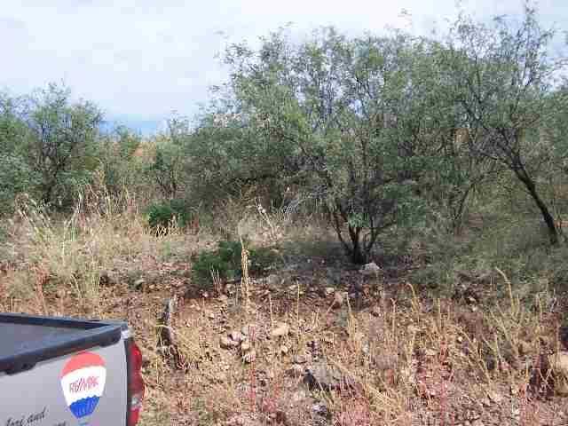 307 Camino Magnifico Rio Rico, AZ 85648 - Photo 1 of 2