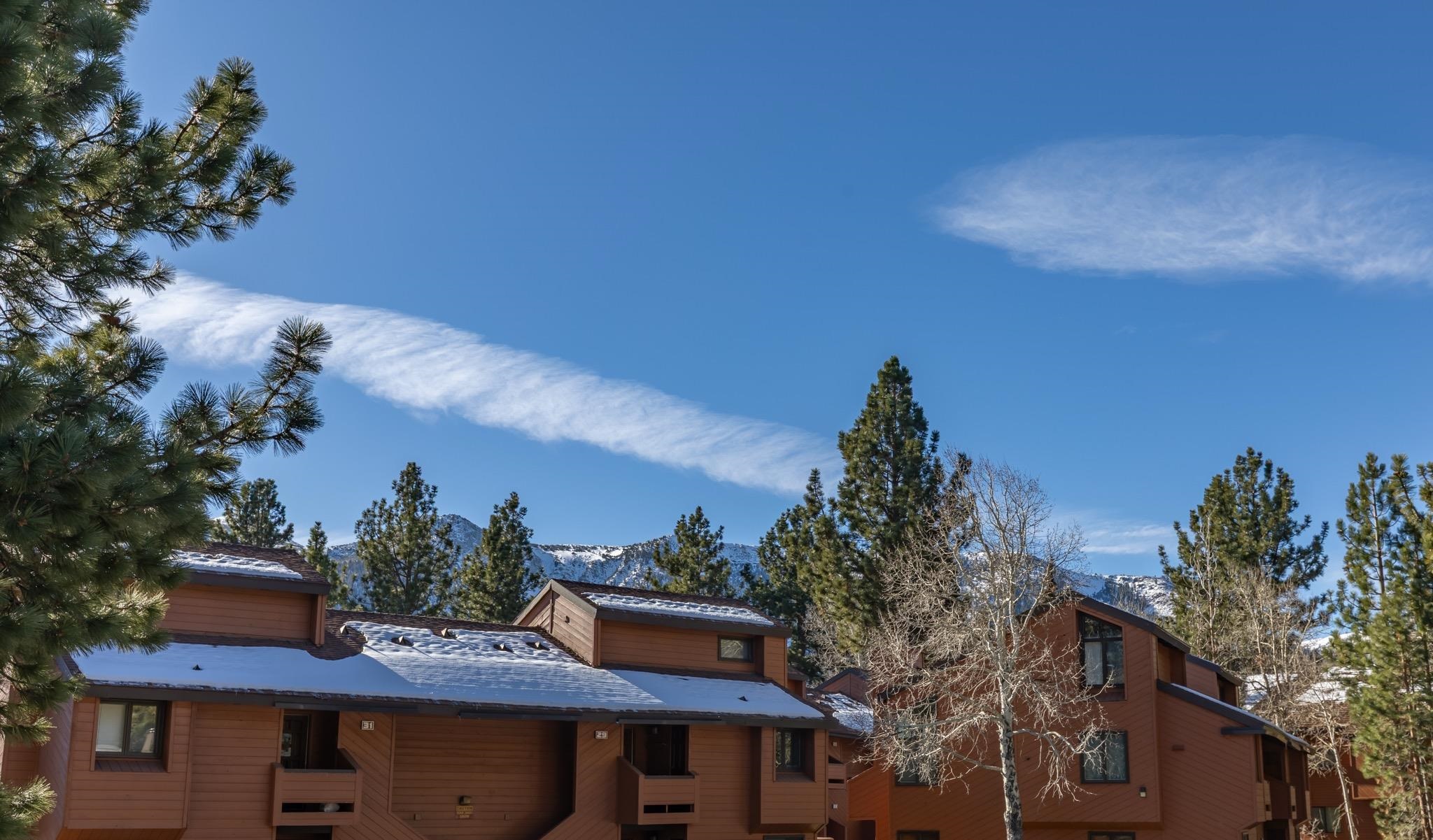 3251-40 Chateau Road, Unit 40 Mammoth Lakes, CA 93546 - Photo 24 of 31 a view of a roof with potted plants