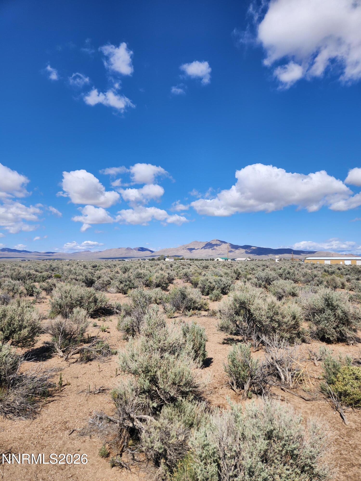 2101 Highway 208 Smith, NV 89430 - Photo 3 of 9