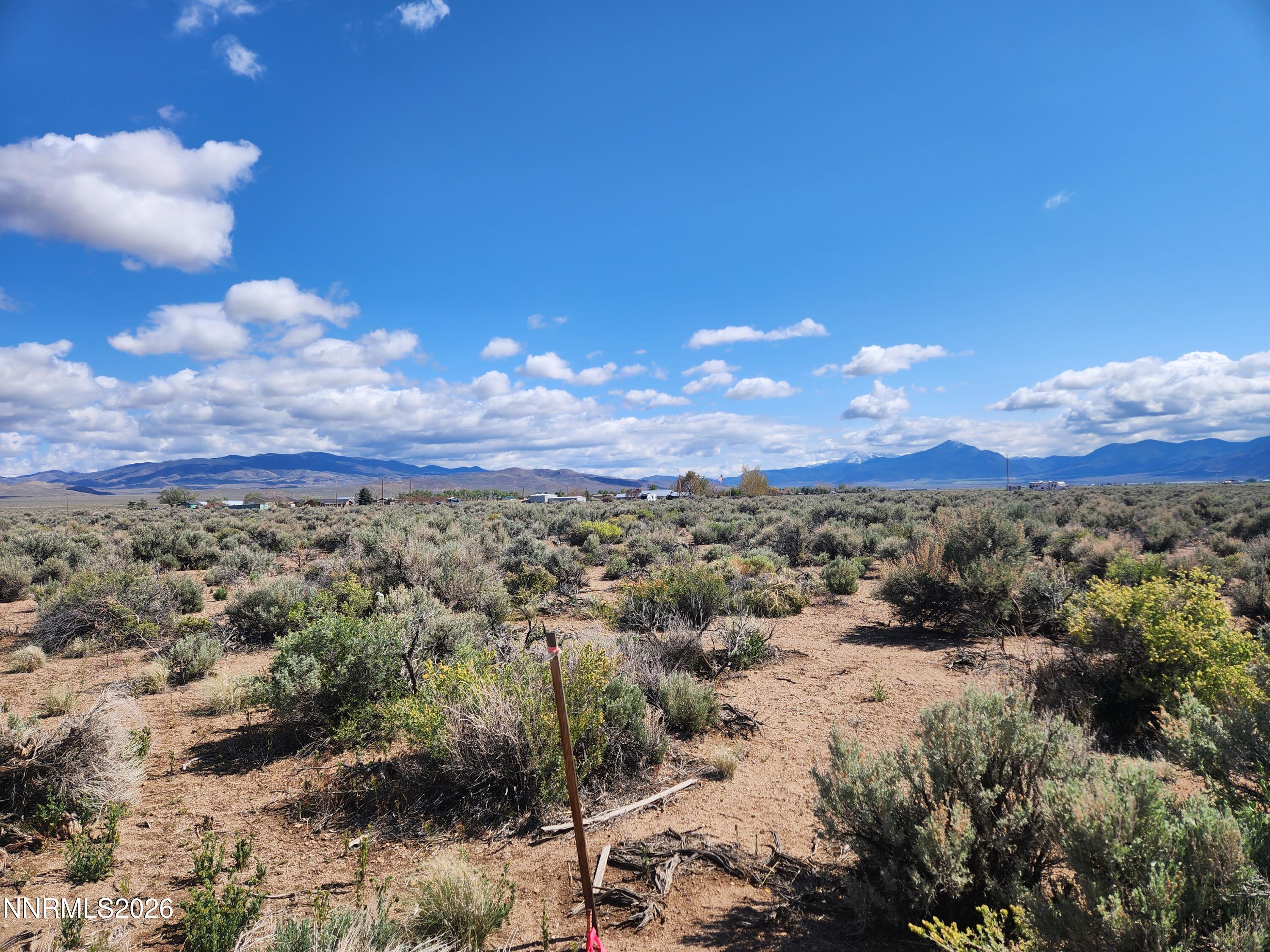 2101 Highway 208 Smith, NV 89430 - Photo 4 of 9 a view of a city