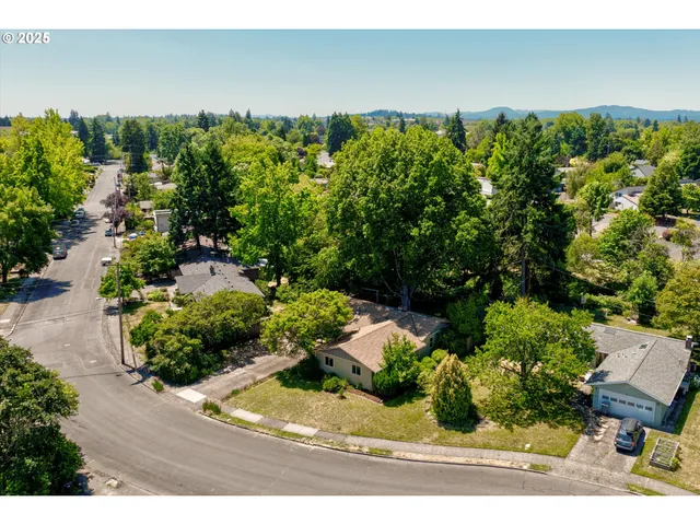 a view of a garden with a tree
