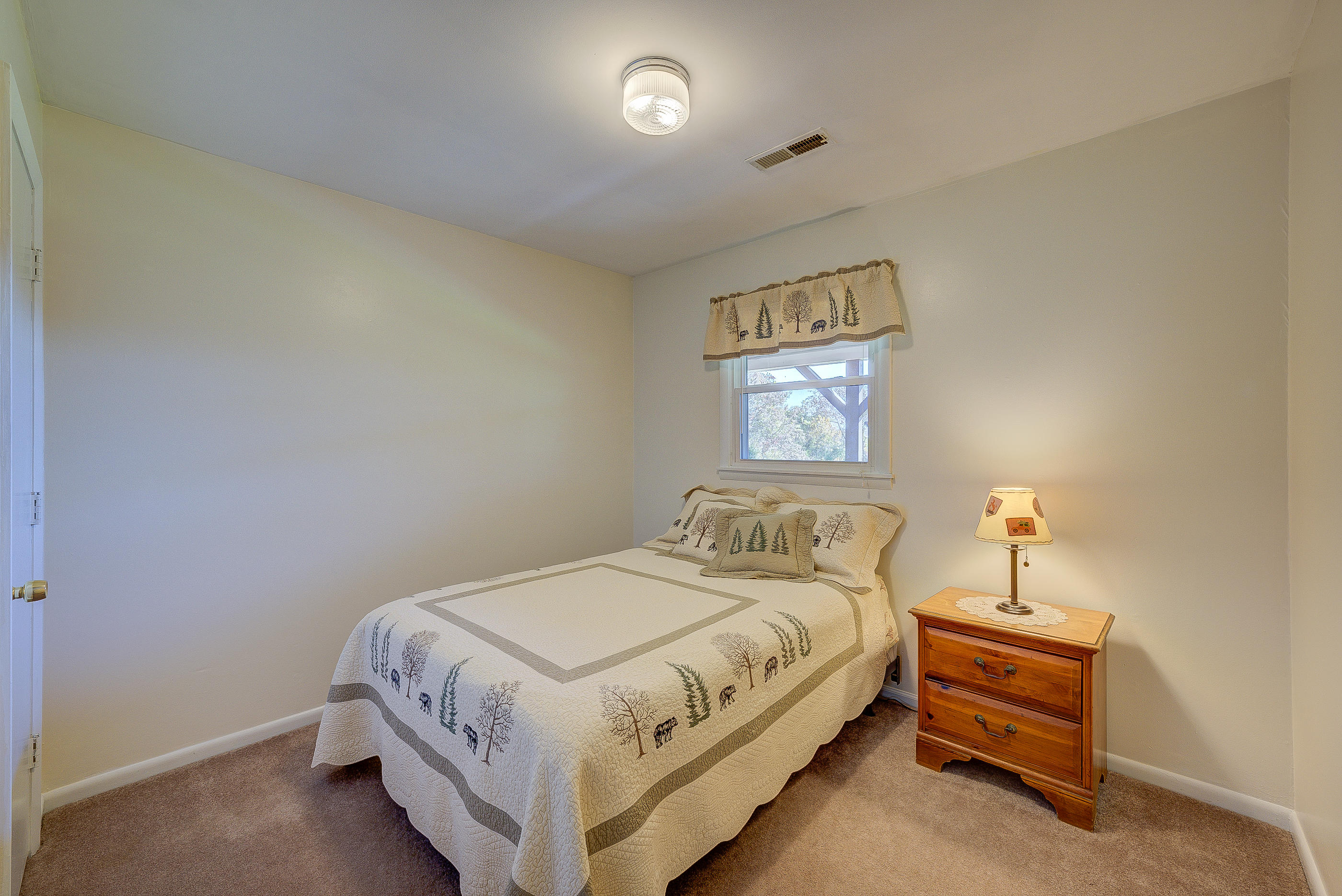 863 Flowing Spring Road Buchanan, VA 24066 - Photo 25 of 29 157