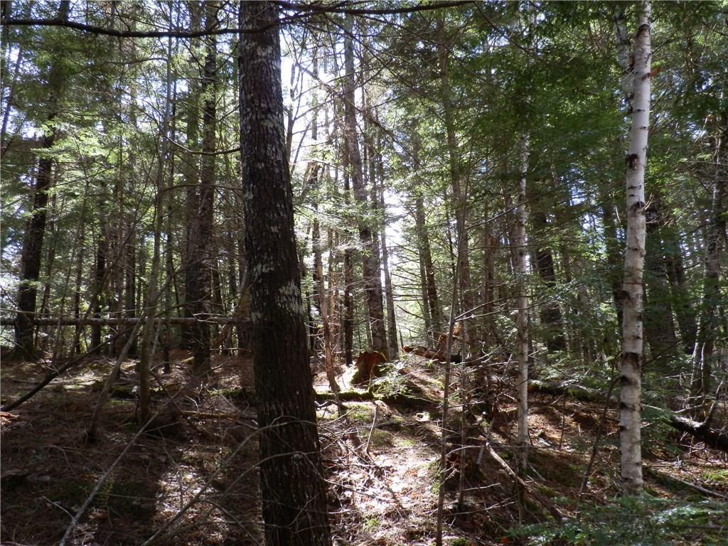 Lot 23 Lilly Pond Road Beddington, ME 04622 - Photo 12 of 29 Photo