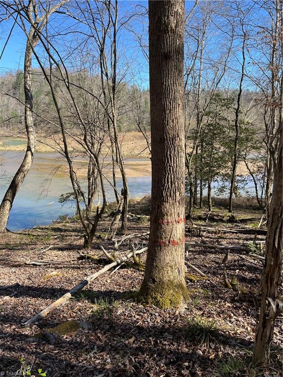 Tbd Mars Mountain Road Boomer, NC 28606 - Photo 3 of 15 Gallery Image 3