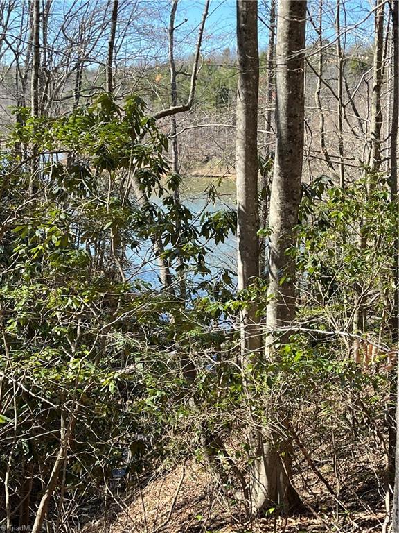Tbd Mars Mountain Road Boomer, NC 28606 - Photo 7 of 15 Gallery Image 7