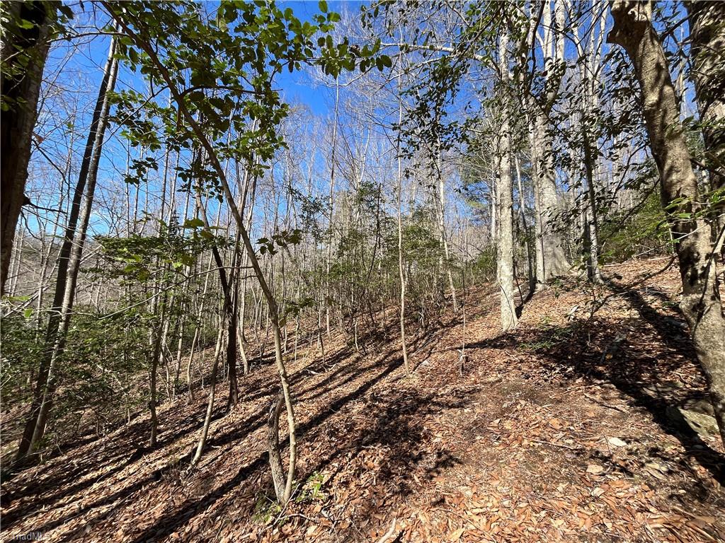 Tbd Mars Mountain Road Boomer, NC 28606 - Photo 8 of 15 Gallery Image 8
