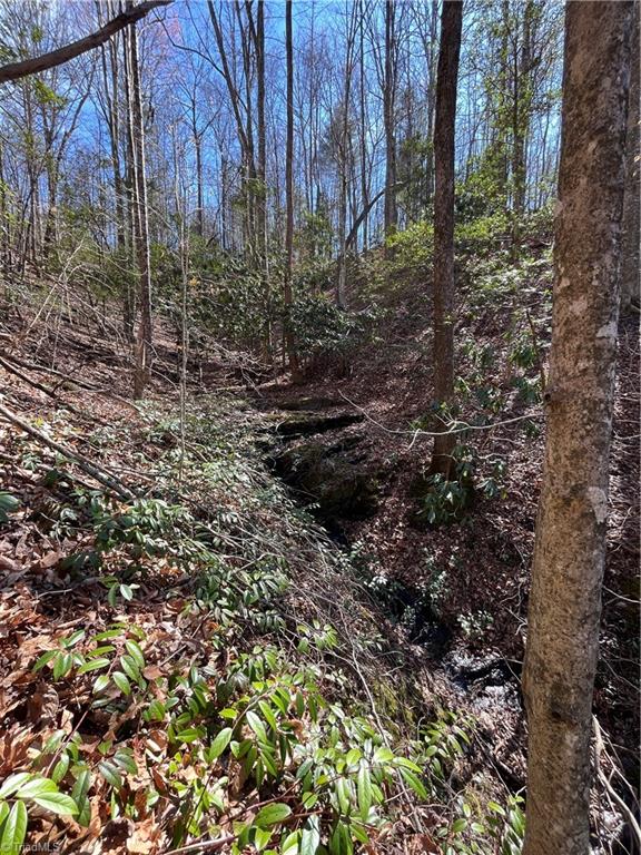 Tbd Mars Mountain Road Boomer, NC 28606 - Photo 10 of 15 Gallery Image 10