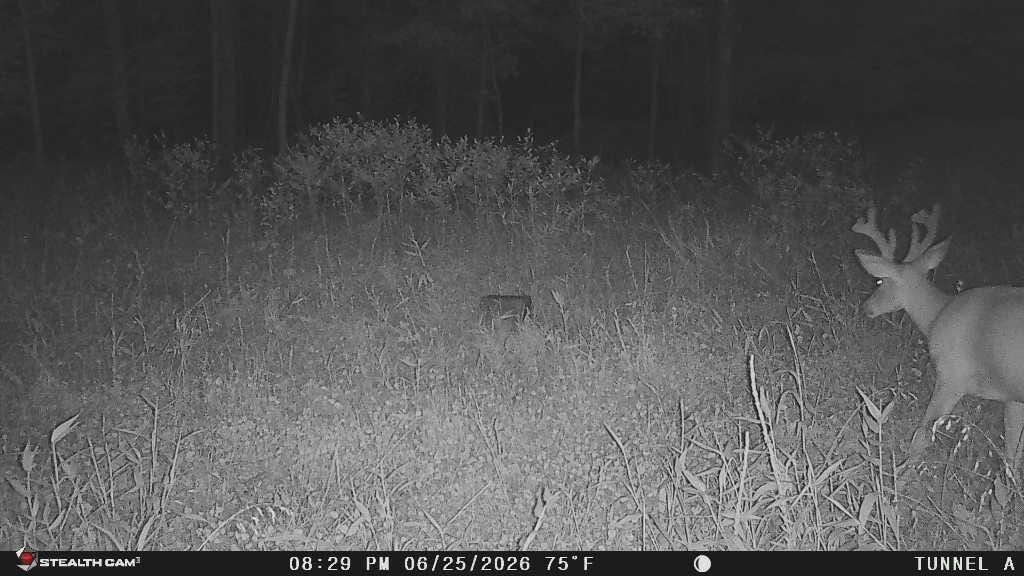 1271 A Tunnel Ridge Road Grayson, KY 41143 - Photo 3 of 134 20260625_214249_5D8FFB