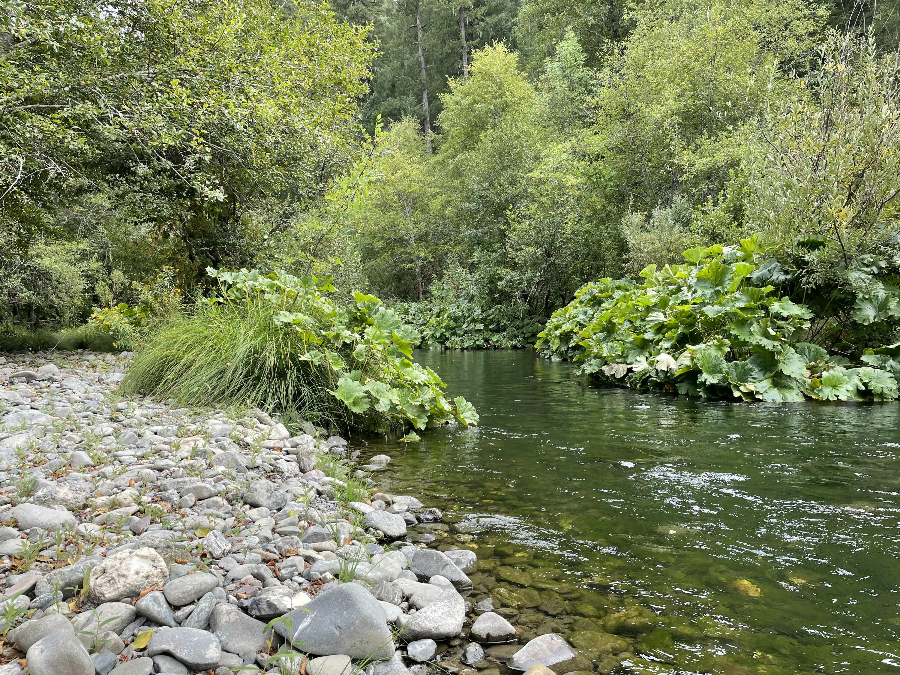 40-acres 40-acres Ridge Road Mad River, CA 95526 - Photo 28 of 28
